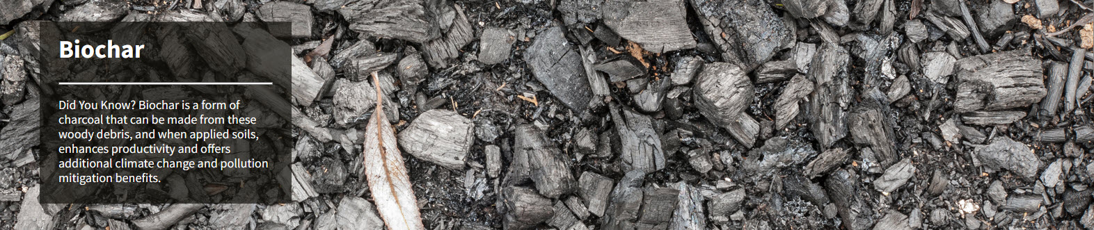 USDA Forest Service Biochar Webinar Series