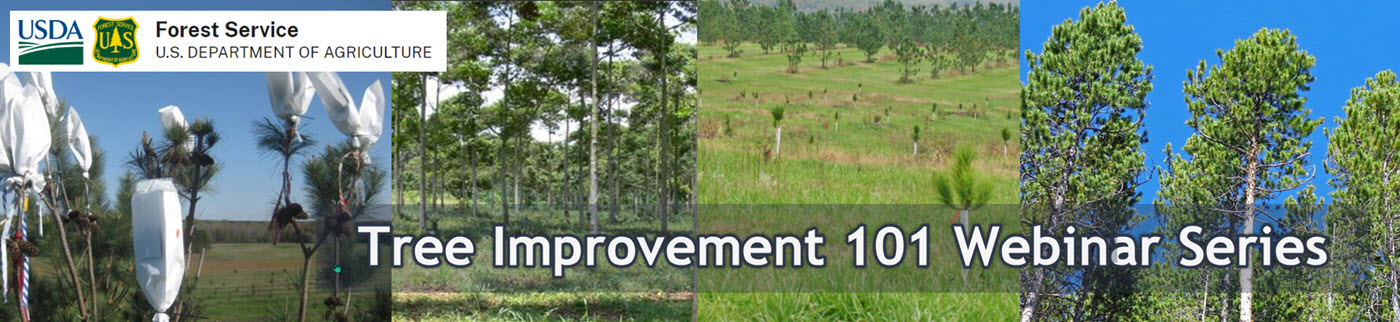Tree Improvement 101