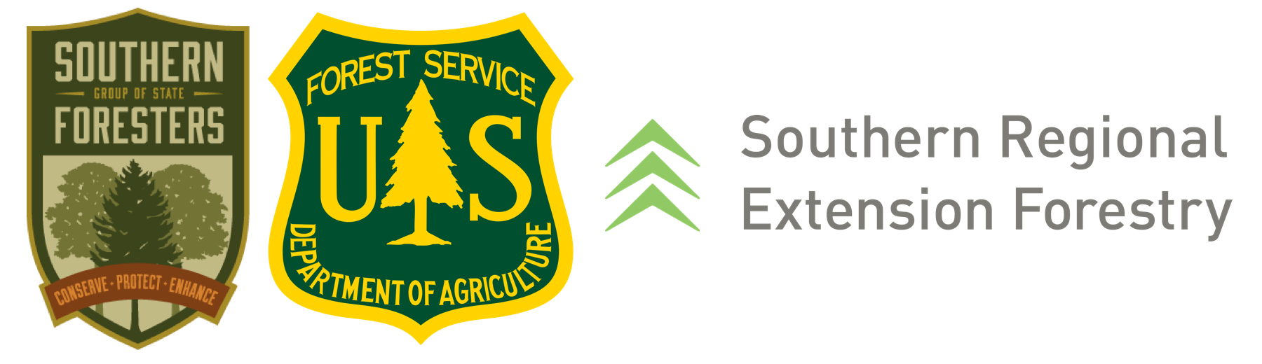 Wood-based Economic Development