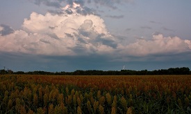 Webinar Preview Image