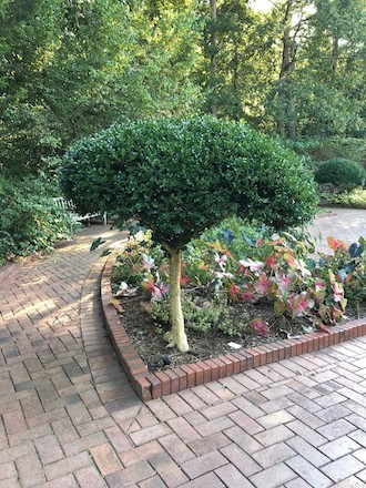 WarnellLunchtimeseriesTuesday