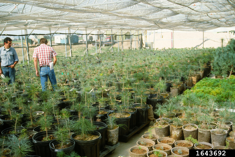 Webinar Preview Image