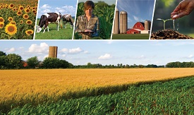 Webinar Preview Image