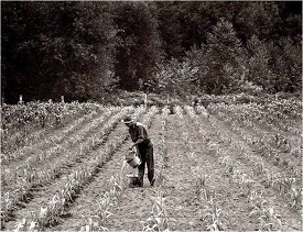 Webinar Preview Image