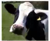 Webinar Preview Image