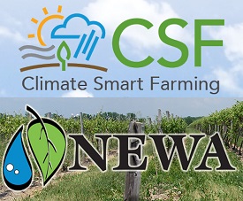 Webinar Preview Image