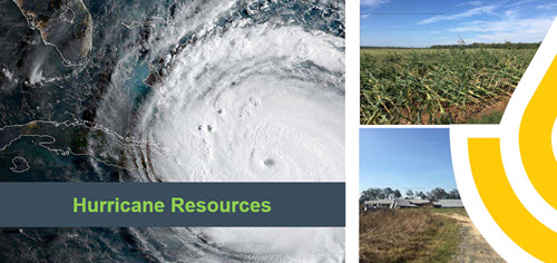 Hurricane Resources