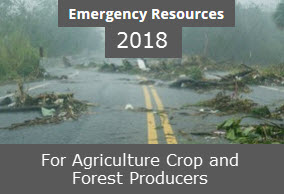 Webinar Preview Image