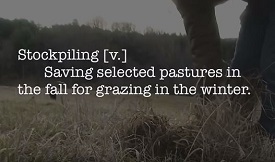 Webinar Preview Image