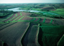 Webinar Preview Image