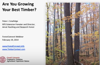 Webinar Preview Image