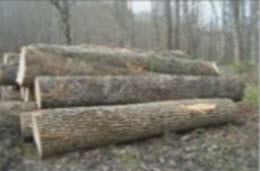 Webinar Preview Image