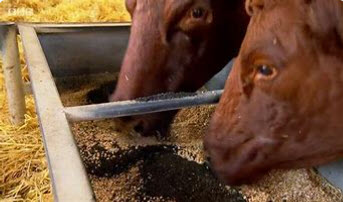 Webinar Preview Image