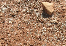 Webinar Preview Image