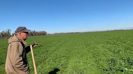 Webinar Preview Image