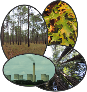 Webinar Preview Image