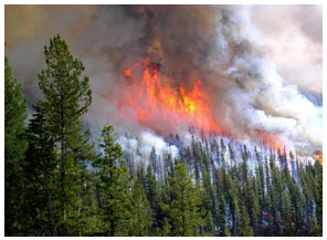 Webinar Preview Image