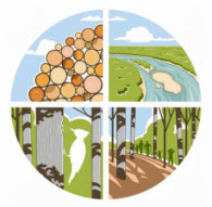 Webinar Preview Image