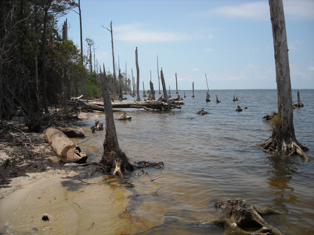 Webinar Preview Image