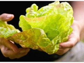 Webinar Preview Image