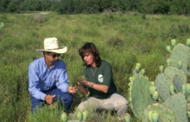 Webinar Preview Image