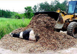 Webinar Preview Image