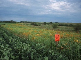 Webinar Preview Image