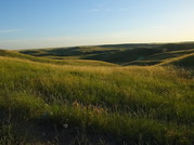 Webinar Preview Image