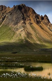 Webinar Preview Image