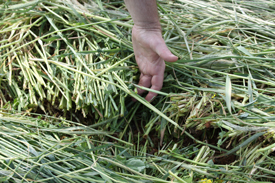 Webinar Preview Image