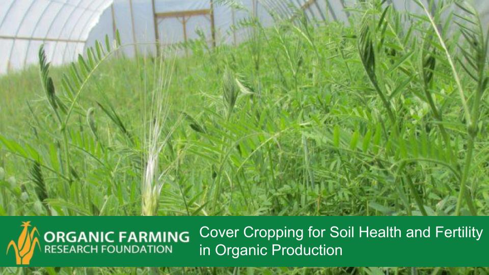 Webinar Preview Image