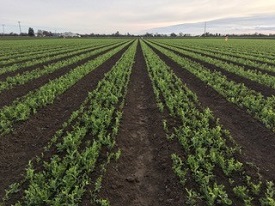 Webinar Preview Image