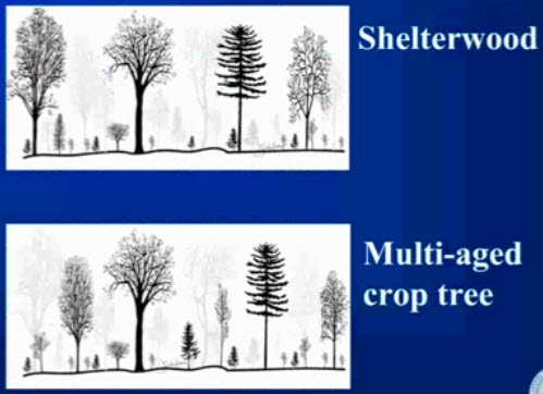 Webinar Preview Image