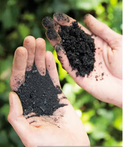 Webinar Preview Image