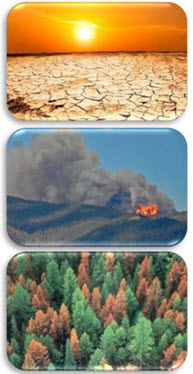 Webinar Preview Image