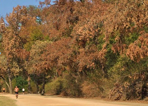 Webinar Preview Image