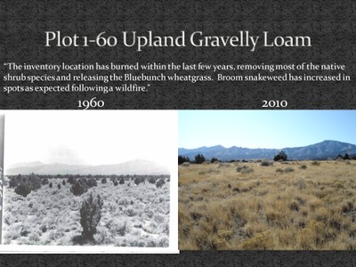 Ecological Site Descriptions image