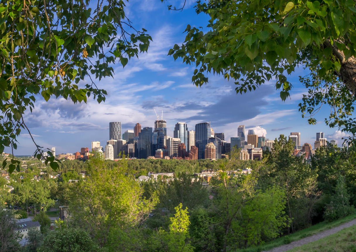 Webinar Preview Image