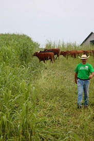 Webinar Preview Image