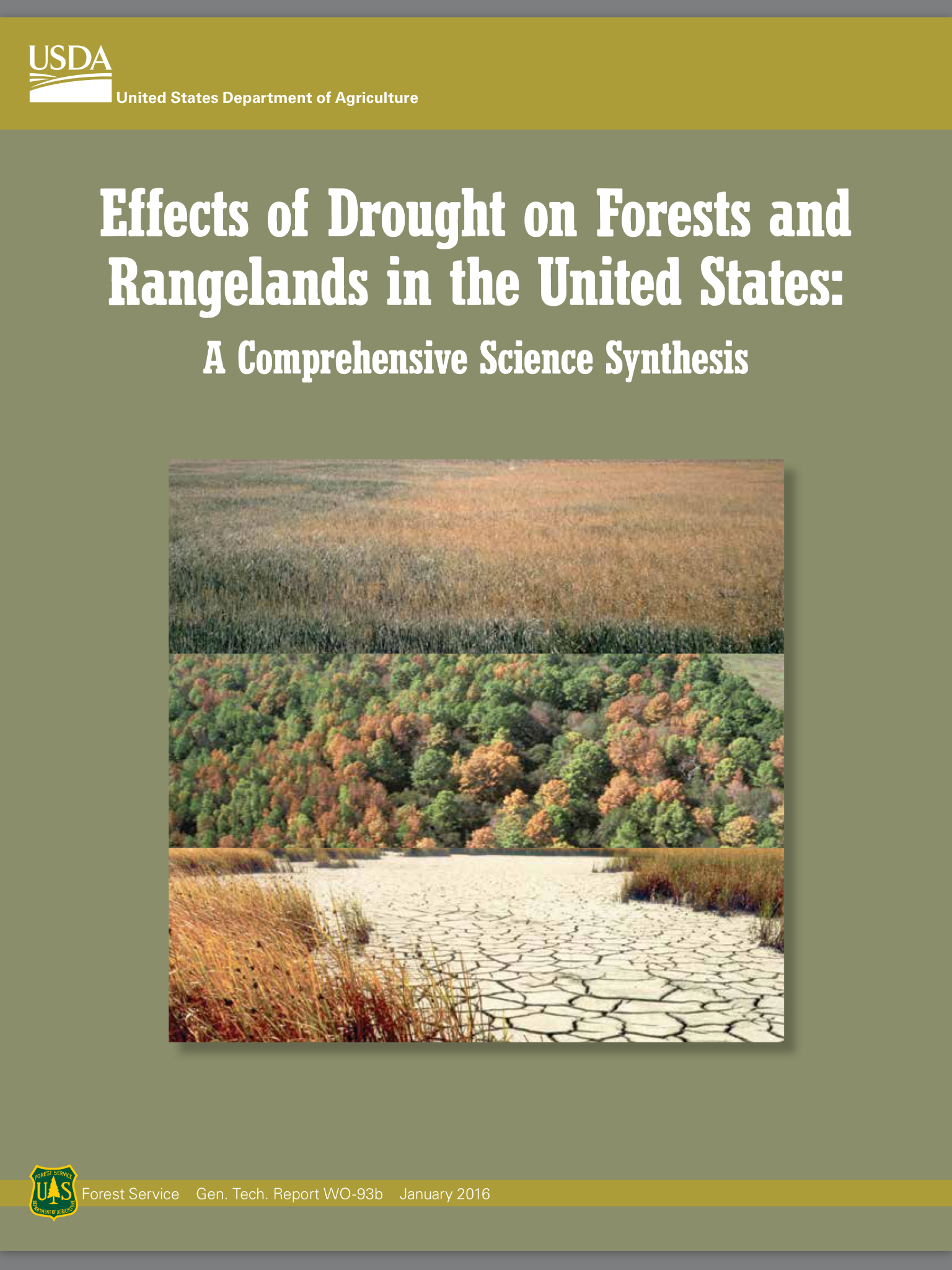 Webinar Preview Image