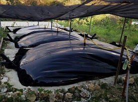 Webinar Preview Image