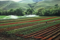 Webinar Preview Image