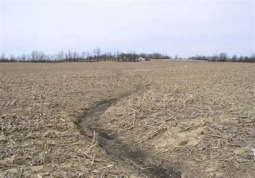 Webinar Preview Image