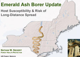 Webinar Preview Image