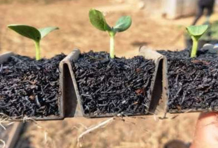 Webinar Preview Image