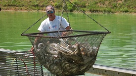 Webinar Preview Image