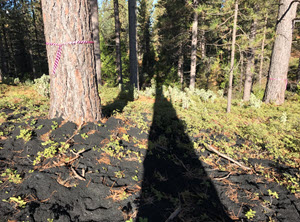 Webinar Preview Image