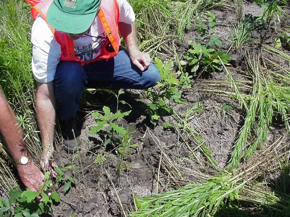 Webinar Preview Image