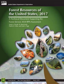 Webinar Preview Image