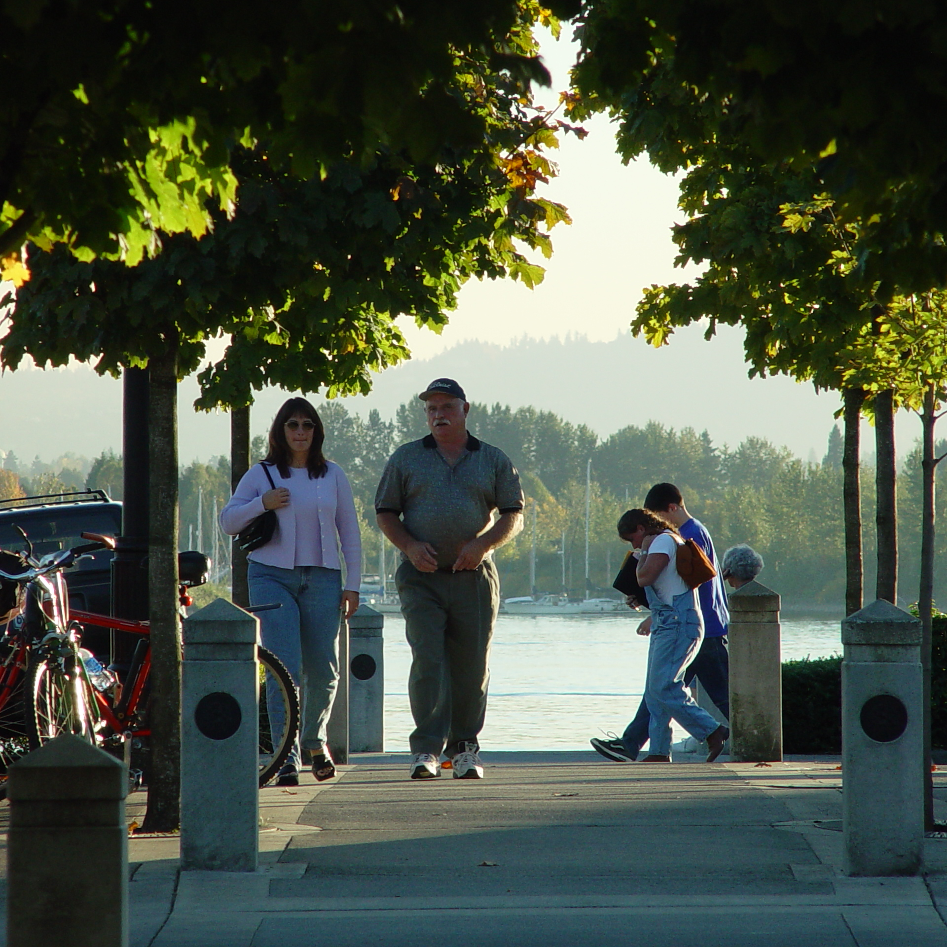 Webinar Preview Image